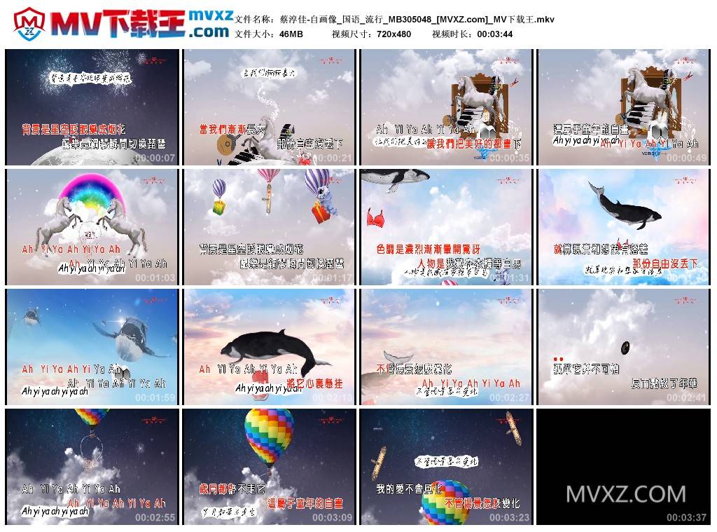 蔡淳佳-自画像_国语_流行_MB305048